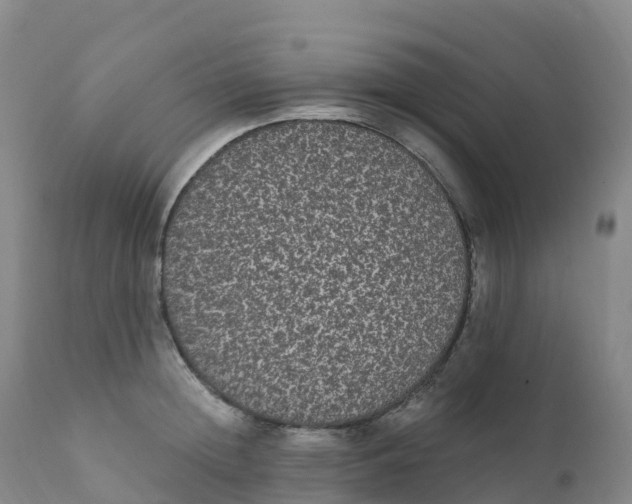 X0000111830852200908131545