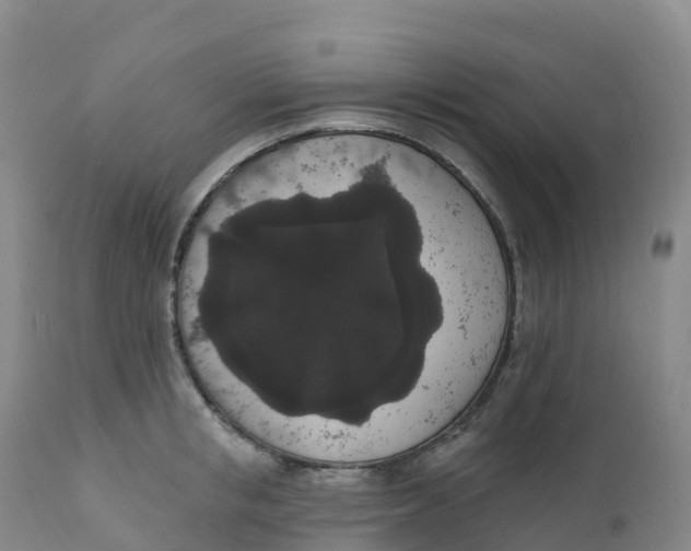 X0000111830853200908131545