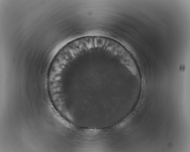 X0000111830854200908131545