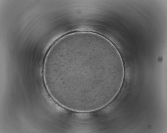 X0000111830856200908131545