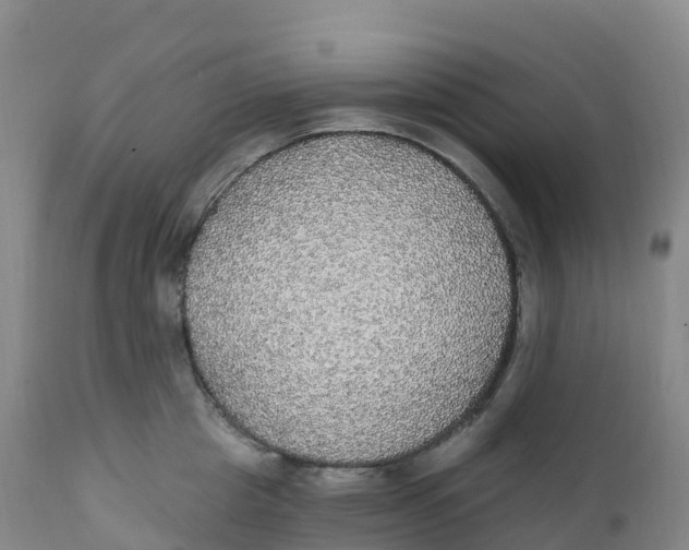 X0000111830857200908131545