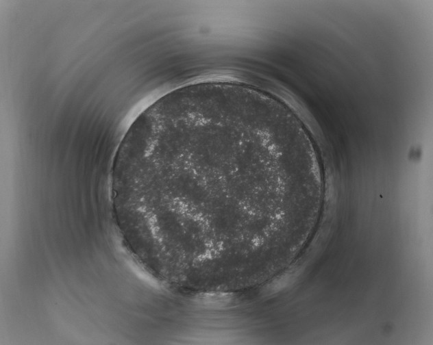 X0000111830858200908131545