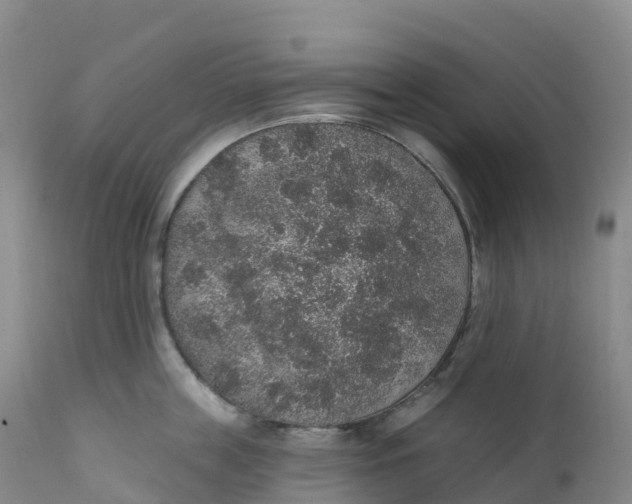 X0000111830859200908131545