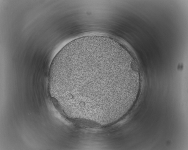 X0000111830860200908131545