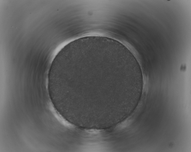 X0000111830862200908131545