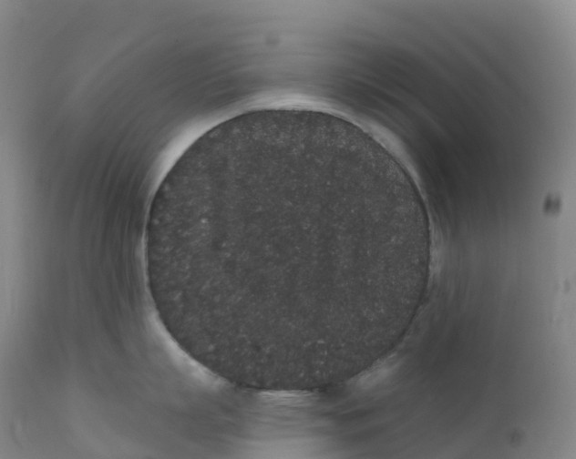 X0000111830863200908131545