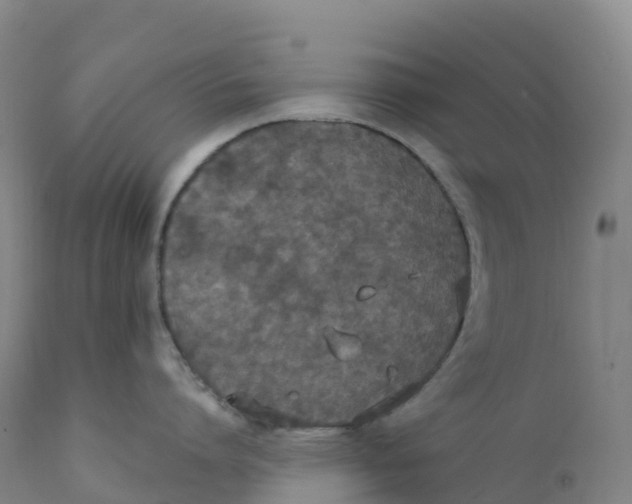 X0000111830864200908131545