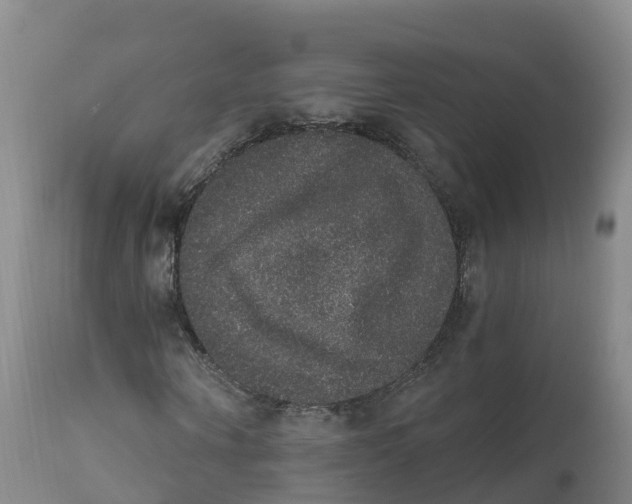 X0000111830866200908131544