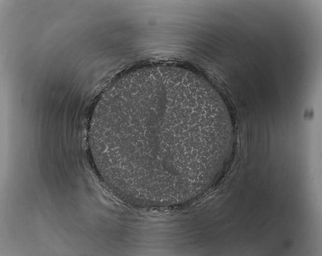 X0000111830868200908131544