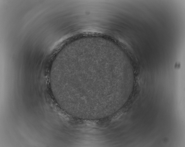 X0000111830870200908131544