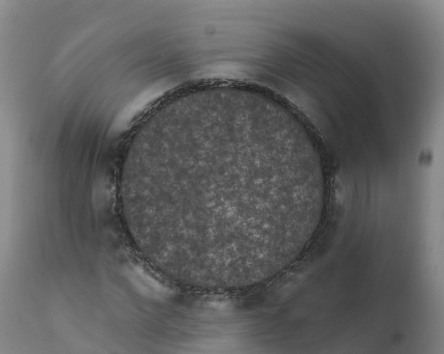 X0000111830872200908131544