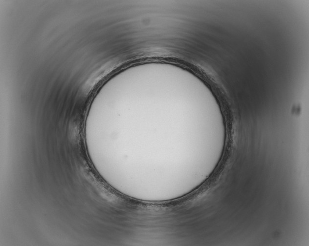 X0000111830873200908131544