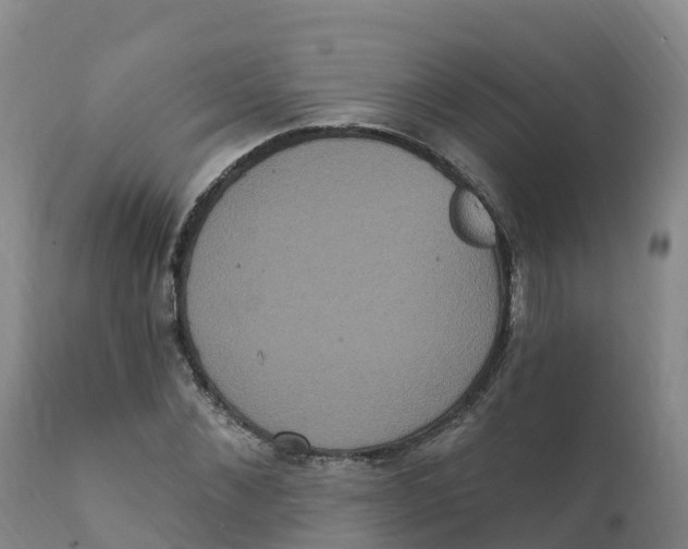 X0000111830876200908131544