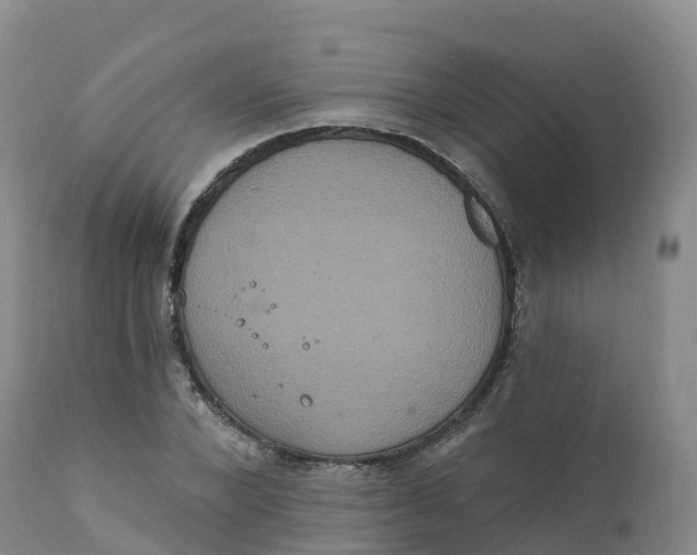 X0000111830880200908131544