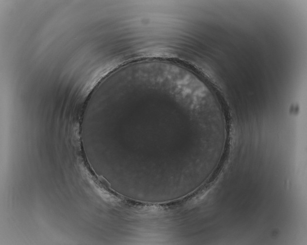 X0000111830881200908131544