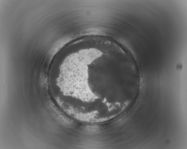 X0000111830882200908131544