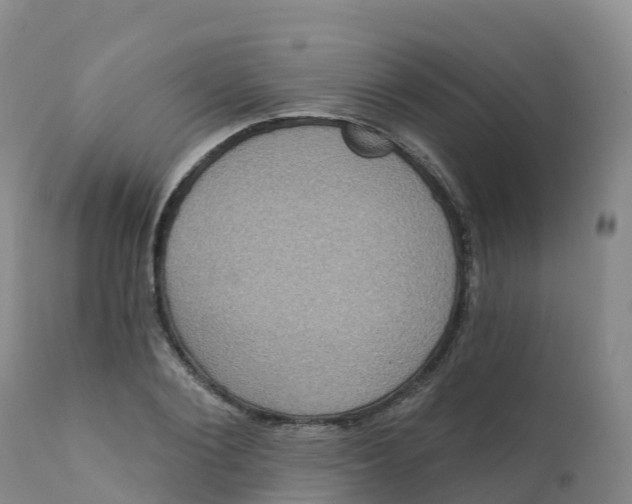 X0000111830884200908131544