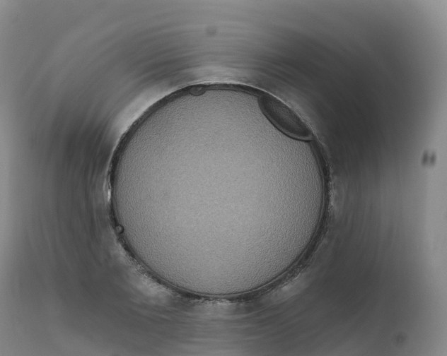 X0000111830885200908131544