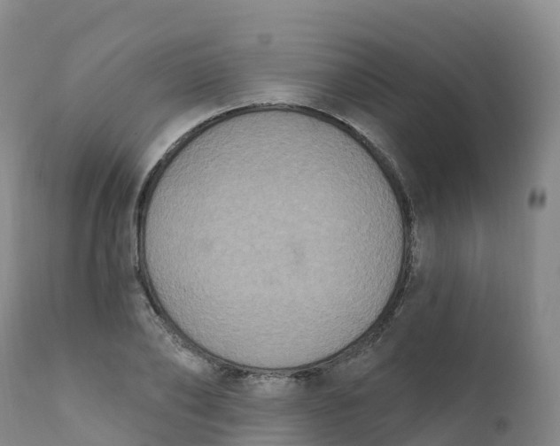 X0000111830886200908131544