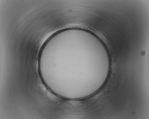 X0000111830888200908131544