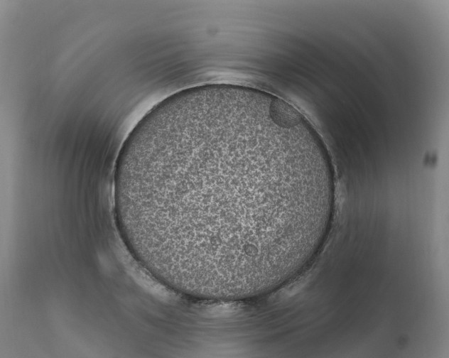 X0000111830891200908131544