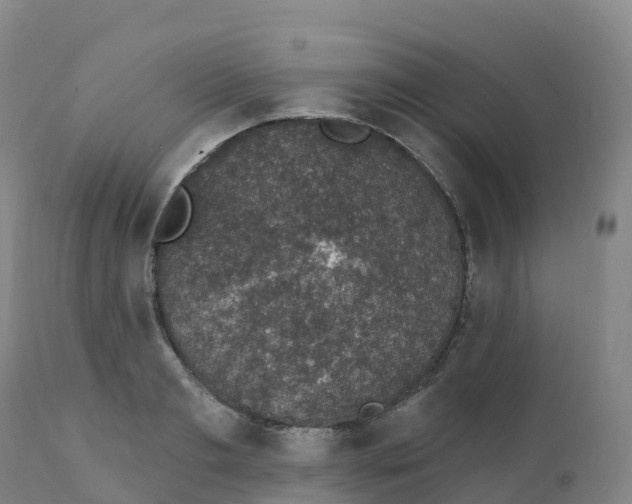 X0000111830893200908131544