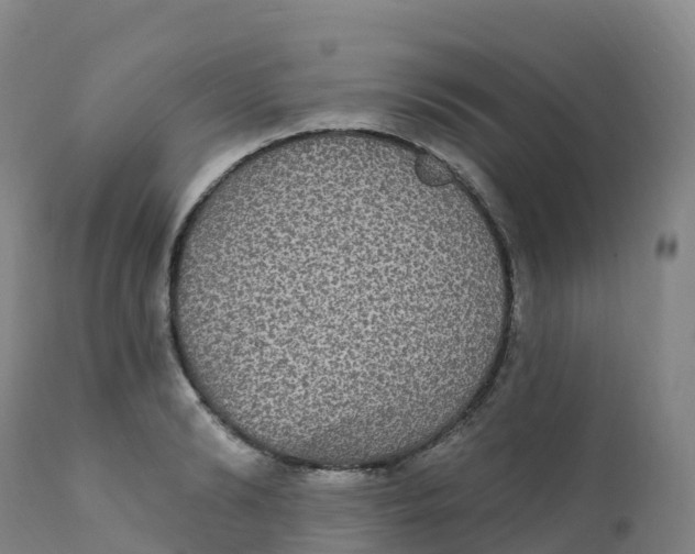 X0000111830894200908131544