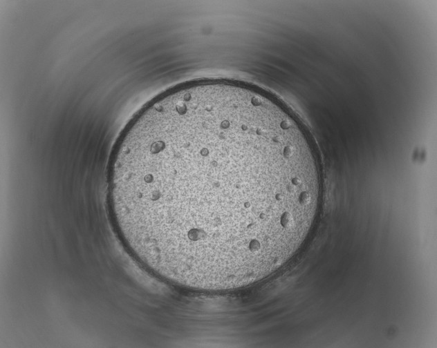 X0000111830895200908131544