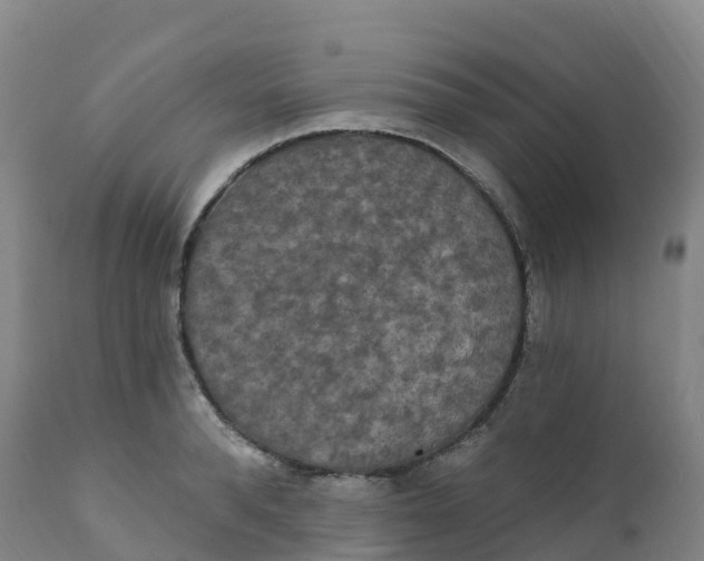 X0000111830896200908131544