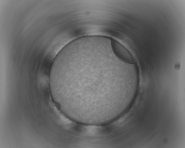 X0000111830897200908131544