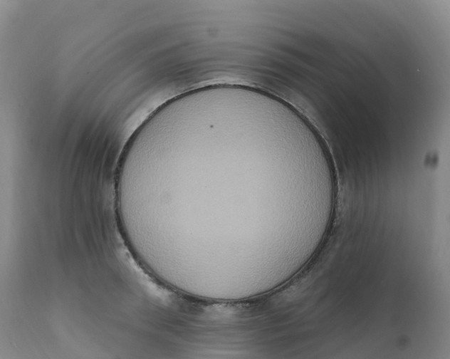 X0000111830898200908131544