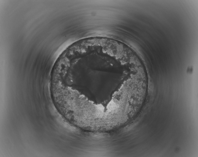 X0000111830899200908131543