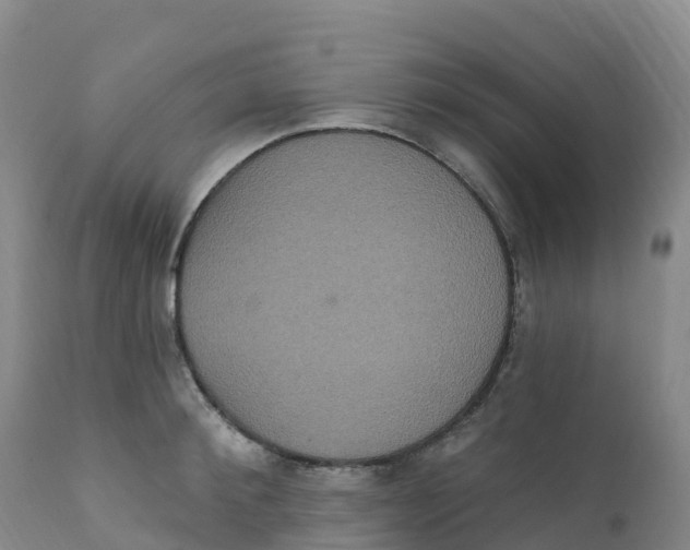 X0000111830900200908131543