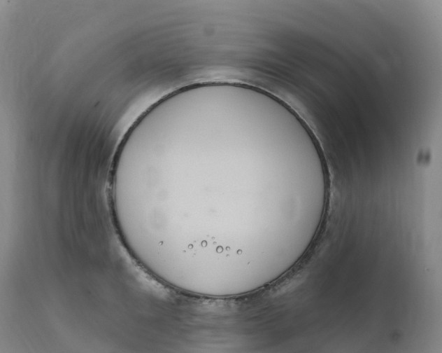 X0000111830901200908131543