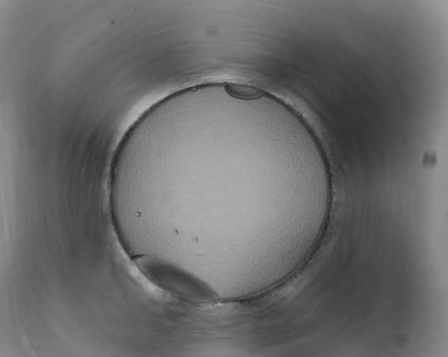 X0000111830902200908131543