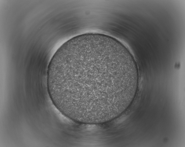 X0000111830903200908131543