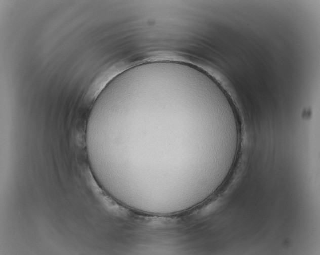 X0000111830905200908131543