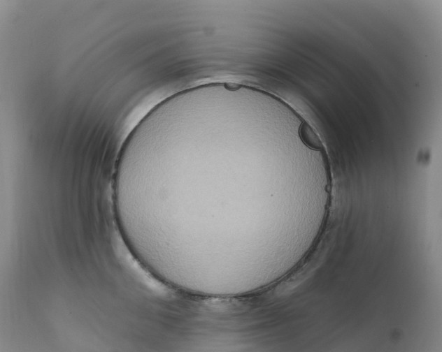 X0000111830906200908131543