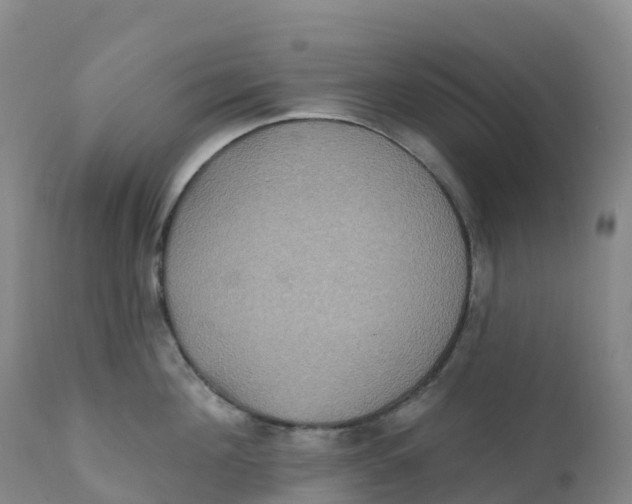 X0000111830908200908131543