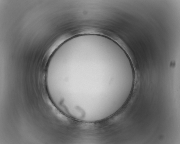 X0000111830909200908131543