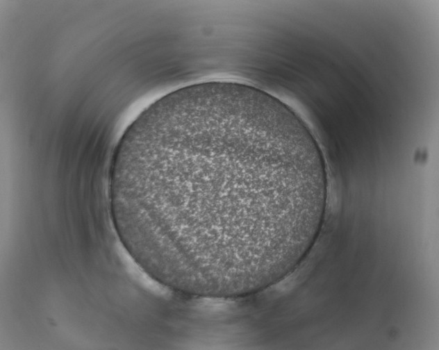 X0000111830910200908131543