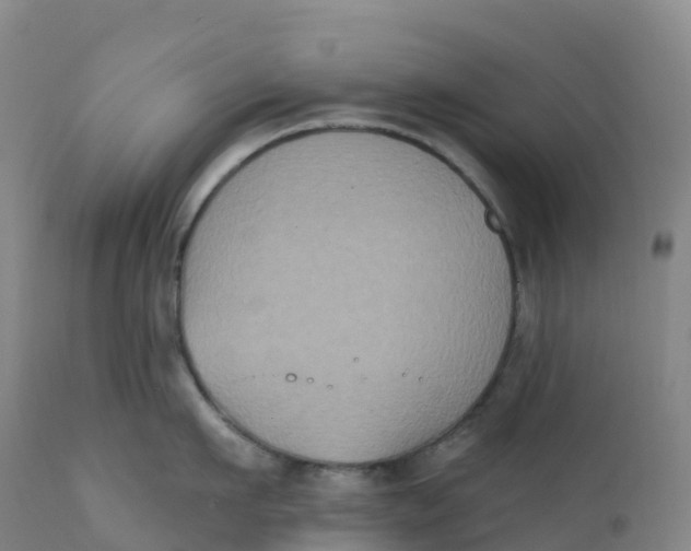 X0000111830911200908131543