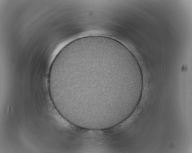 X0000111830912200908131543