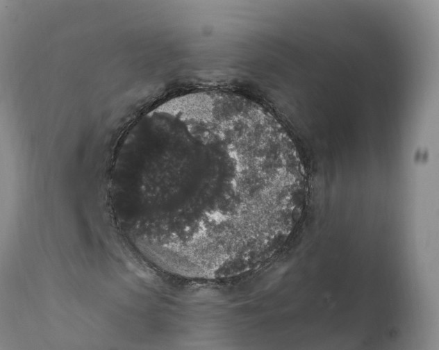 X0000111830913200908131543