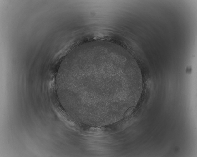 X0000111830914200908131543