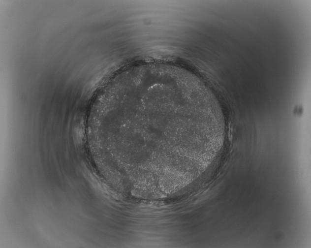 X0000111830915200908131543