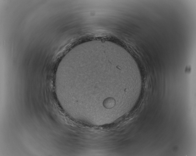 X0000111830916200908131543