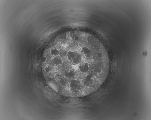 X0000111830917200908131543