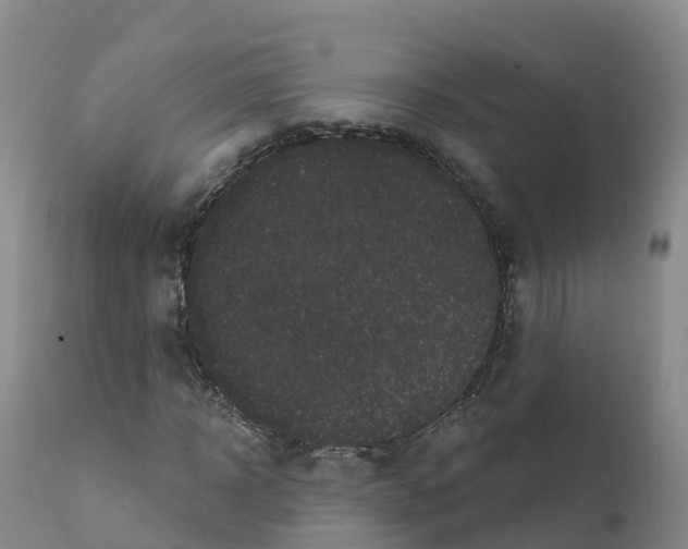 X0000111830918200908131543