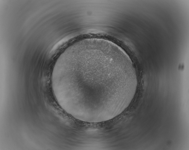 X0000111830920200908131543